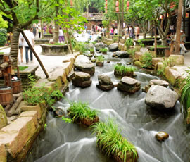 千年水碼頭、古鎮(zhèn)黃龍溪一日游